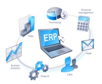 Customized Virtual ERP